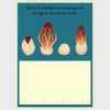 Fungarium Activity Book